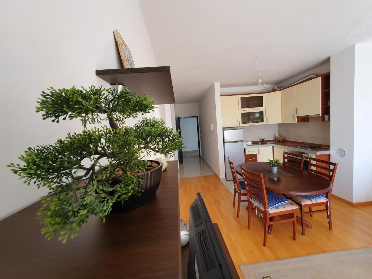 Apartament Nono