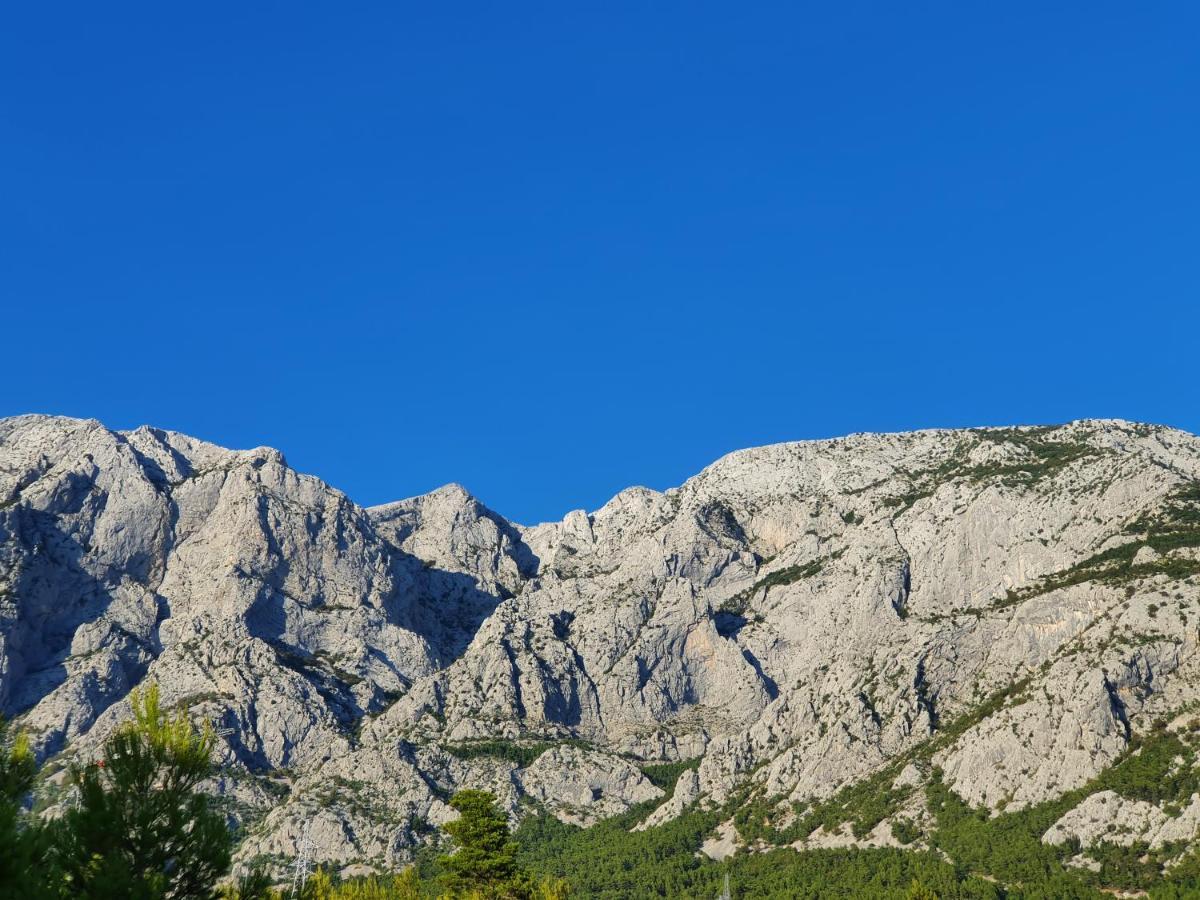 Apartament Nono