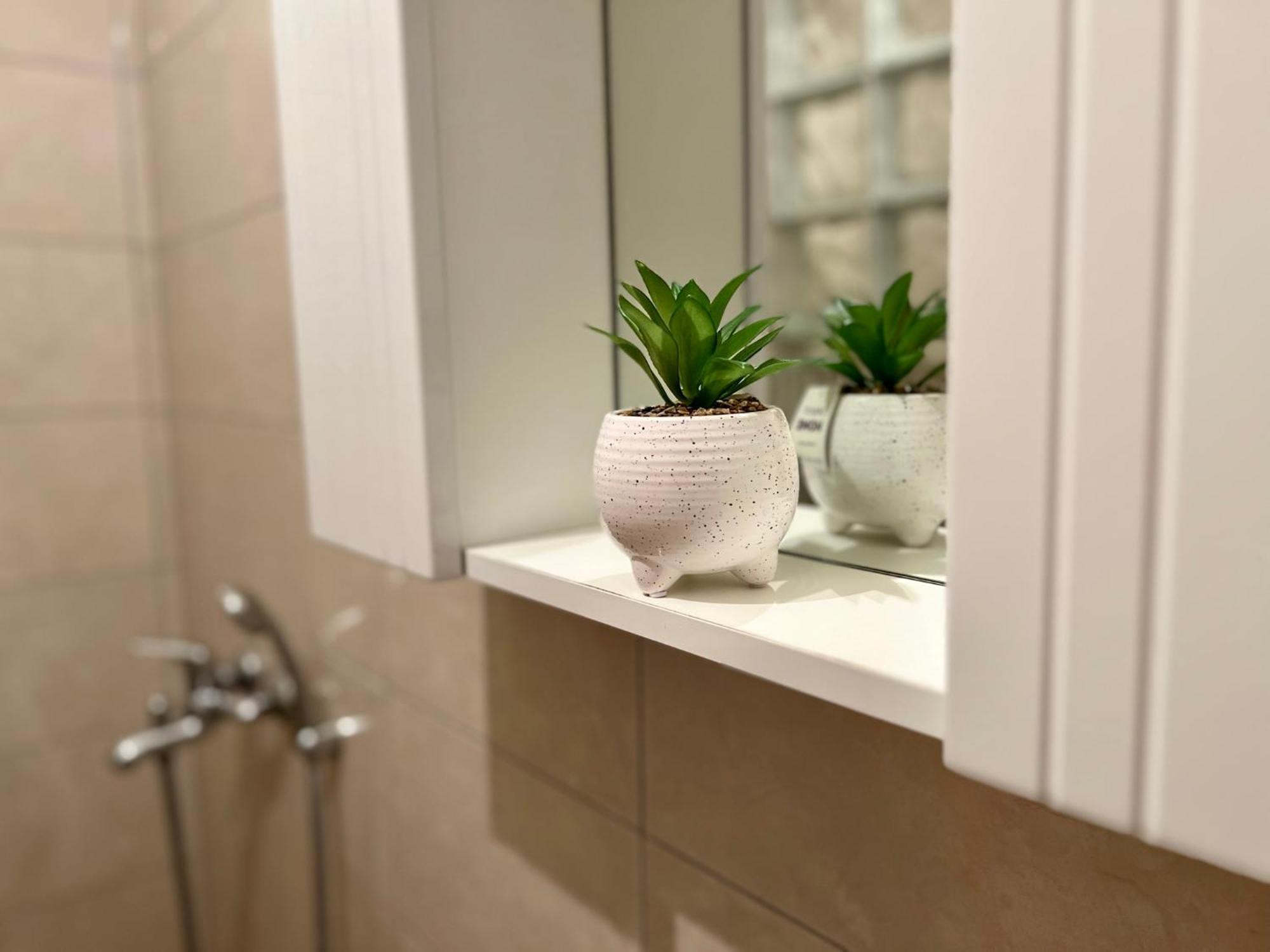 Apartament Nono
